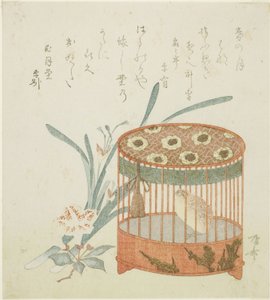 Gabbia per uccelli e fiori