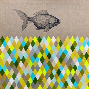 Pesci diamante colorati da SAN STARLING