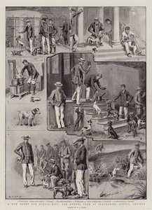 Un nuovo hobby per i ragazzi di scuola, il Kennel Club alla Clayesmore School, Enfield