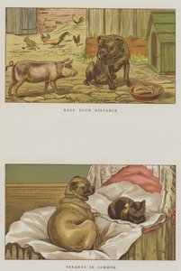 Cani umoristici da S.T. Dadd