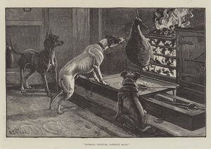 Chi non risica non rosica
