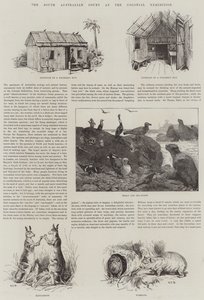 La Corte del Sud Australia alla Mostra Coloniale da S.T. Dadd