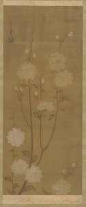 Rami di Ciliegio Pendenti in Fiore, periodo Edo da Sakai Hoitsu