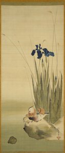 Iris e anatre mandarino da Sakai Hoitsu
