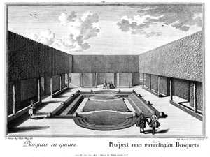 Prospetto di un boschetto rettangolare