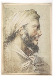 Testa di un uomo barbuto di profilo a destra con un turbante da Salvator Rosa