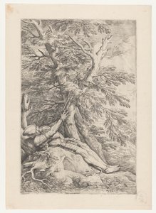 San Guglielmo di Maleval da Salvator Rosa