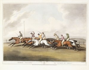Corsa di Cavalli