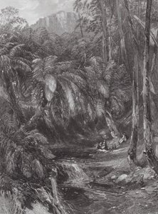 Australia: Una valle di felci da Samuel (after) Prout