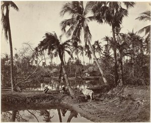 Scena rustica e vita di villaggio in Bengala da Samuel Bourne (signed by artist)
