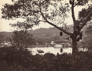 Uno sguardo da Upper Lake Road che mostra il tempio e l