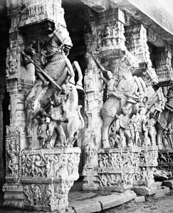 Pilastri scolpiti a forma di cavallo nel Tempio di Ranganatha, Srirangam, 1869 da Samuel Bourne