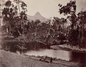 Vedute di Ceylon al Dente d