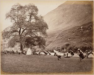  da Samuel Bourne