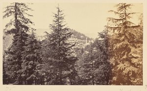 Simla; La chiesa attraverso gli alberi, di Jakko