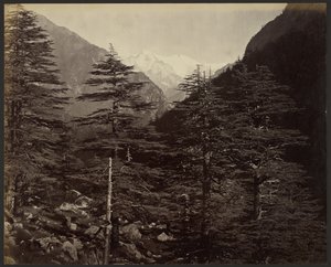 Cime innevate vicino a Gangotri, da Bhairamghati da Samuel Bourne