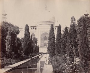 Il Taj