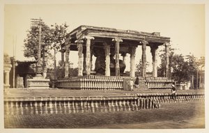 Il grande toro di pietra, Tanjore da Samuel Bourne