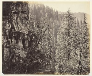 Senza titolo [scogliere e alberi], c. 1865 da Samuel Bourne