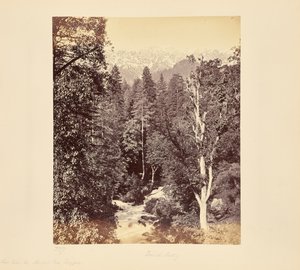  da Samuel Bourne