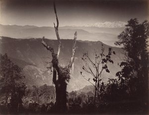 Veduta da Senchal da Samuel Bourne