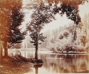 Vista sul canale Dhul, Kashmir, c.1865 (foto seppia) da Samuel Bourne