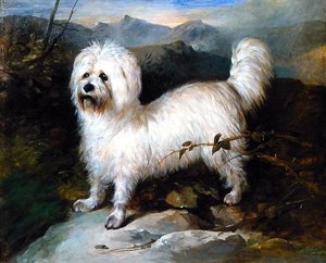 Piccolo cane bianco in un paesaggio da Samuel Coleman