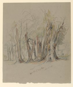 Alberi di cipresso di Chapultepec, Messico da Samuel Colman