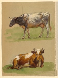 Disegno, Bovini, una mucca che cammina e una mucca accovacciata, 1875-80 da Samuel Colman