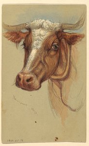 Disegno, Schizzi da Narragansett, Rhode Island, 1871 da Samuel Colman