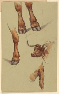 Disegno, Schizzi da Narragensett, Rhode Island., 1871 da Samuel Colman