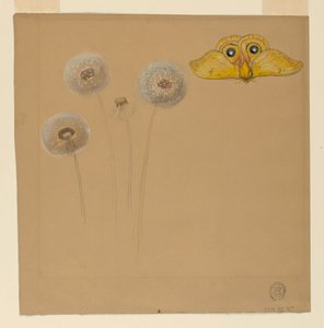 Disegno, studio di margherita bianca, stelo di camomilla con due petali e un petalo di camomilla, 1875-90 da Samuel Colman