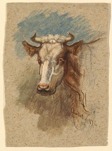 Testa di una mucca, Étretat da Samuel Colman