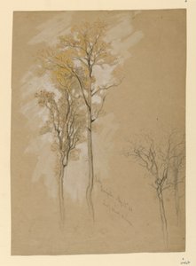Querce, Lady Wood Lane, Irvington da Samuel Colman
