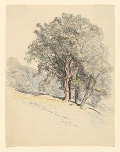 Studio di Querce al Lago Dunmore, Vermont da Samuel Colman