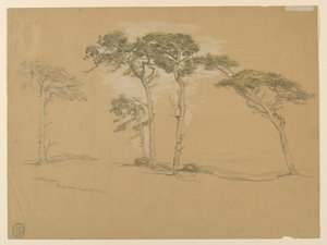 Pini al vento, Pacific Grove. Verso: Strada costiera del Pacifico verso Point Sur. da Samuel Colman