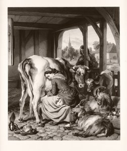 La cameriera e la gazza (mezzotinto) da Samuel Cousins