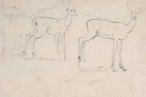 Studio per Due Pallah in Piedi da Samuel Daniell