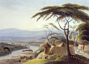 La città di Leetakoo, tavola 22 da 