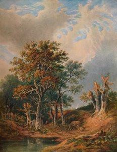 Paesaggio, 1847 da Samuel David Colkett