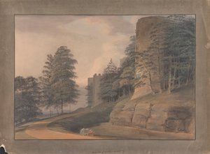 Lato ovest del castello di Ludlow da Samuel Davis