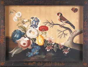 Cardellino, con Farfalla Campo Arancione da Samuel Dixon