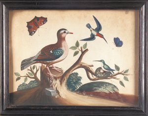 Colomba dalle ali verdi, con colibrì dalla gola rossa, farfalla pavone e farfalla ultramarina da Samuel Dixon