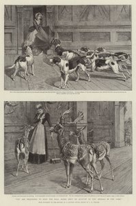 Si prega di tenere chiuse le porte della sala a causa degli animali nel parco (litografia)