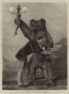 Trofeo di orso a Marlborough House da Samuel Edmund Waller