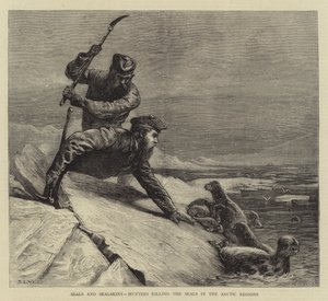 Foche e pellicce di foca, cacciatori che uccidono le foche nelle regioni artiche da Samuel Edmund Waller