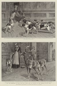 Si prega di tenere chiuse le porte della Sala a causa degli animali nel Parco da Samuel Edmund Waller