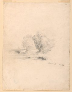 Ruscello e Alberi