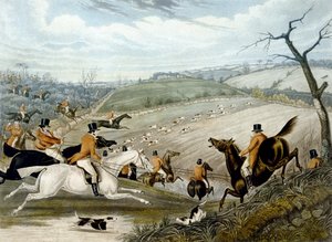 La grande caccia alla volpe del Leicestershire, tavola 1