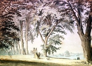 Alberi sul Tamigi di fronte a Hammersmith da Samuel Hieronymous Grimm